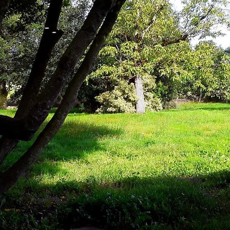 Willa Domaine De La Tranquillite V Noyal-Muzillac Zewnętrze zdjęcie